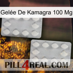 Gelée De Kamagra 100 Mg 17